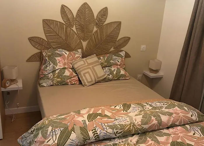 Romantic Victorian Guest Calm Environment Guest house Gragnague